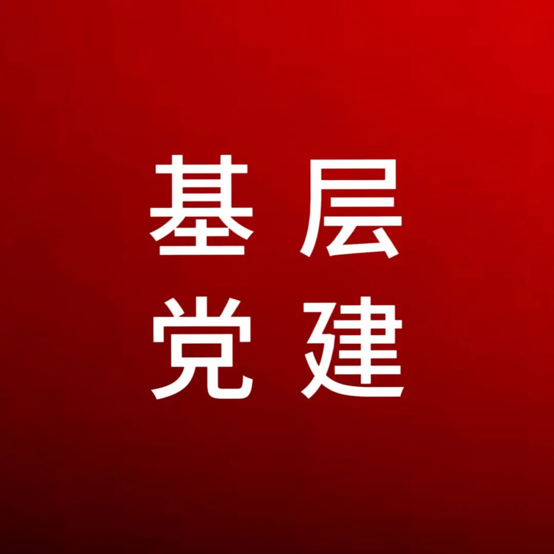 “一月一課一片一實踐” 助推支部工作提質(zhì)增效